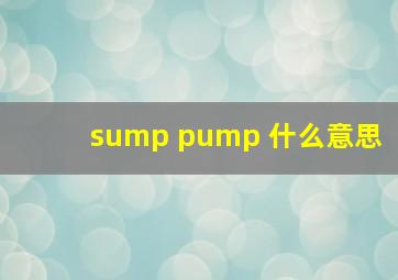 sump pump 什么意思